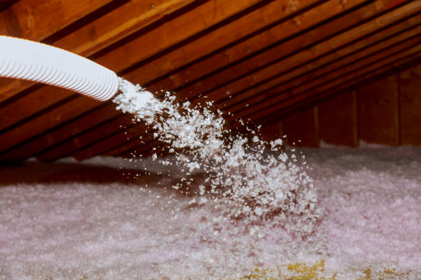 Best Energy Efficiency Solutions in Weldon Spring, MO