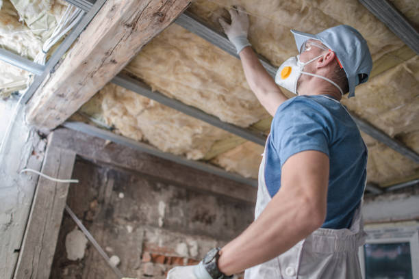 Best Insulation Installation Services in Weldon Spring, MO